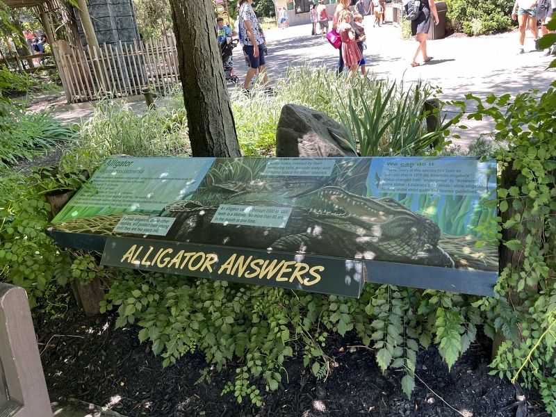 Alligator Answers Marker. Click for full size. Alligator Answers Marker image. Click for full size.