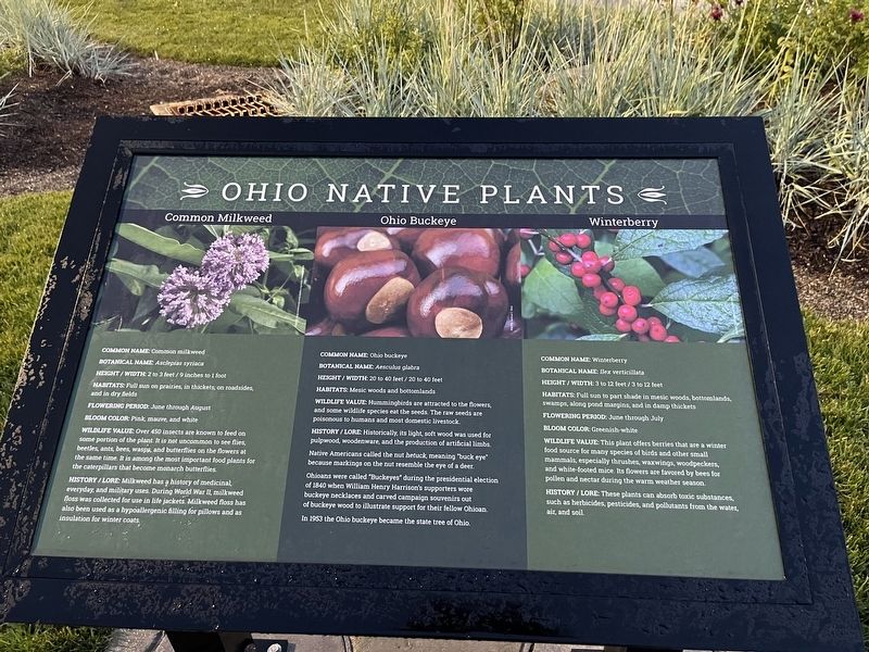 Ohio Native Plants Marker image. Click for full size.