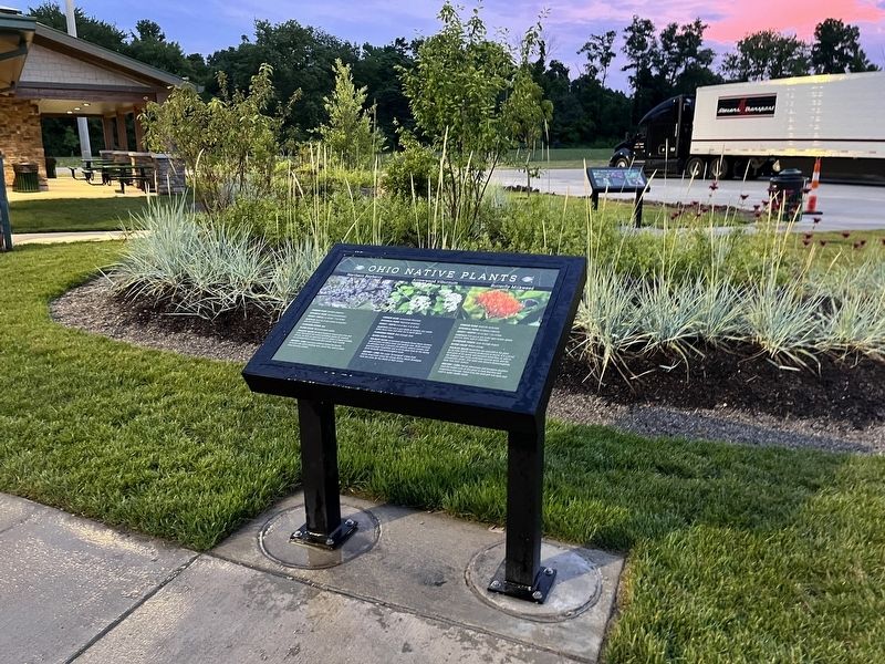 Ohio Native Plants Marker. Click for full size. Ohio Native Plants Marker image. Click for full size.