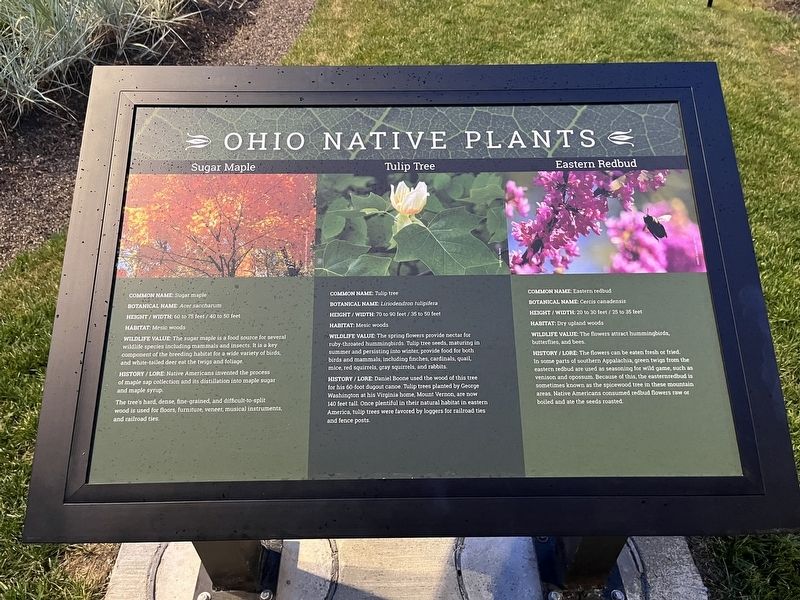 Ohio Native Plants Marker image. Click for full size.
