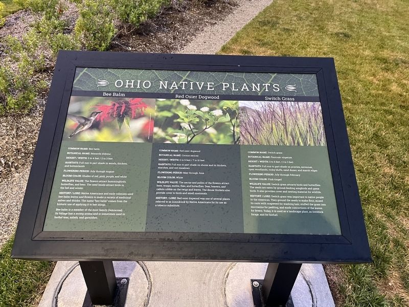 Ohio Native Plants Marker image. Click for full size.