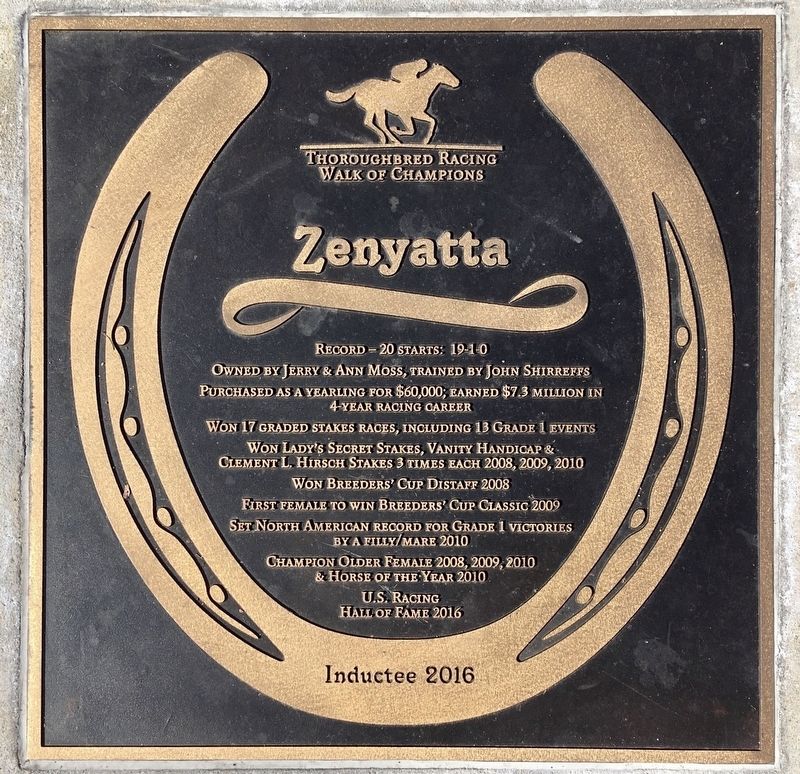 Zenyatta Marker image. Click for full size.