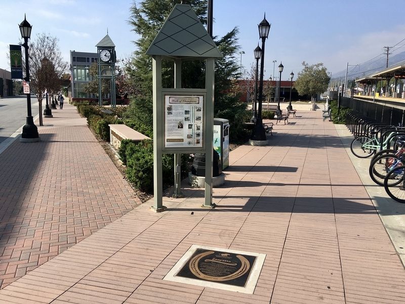 Zenyatta Marker. Click for full size. Zenyatta Marker image. Click for full size.