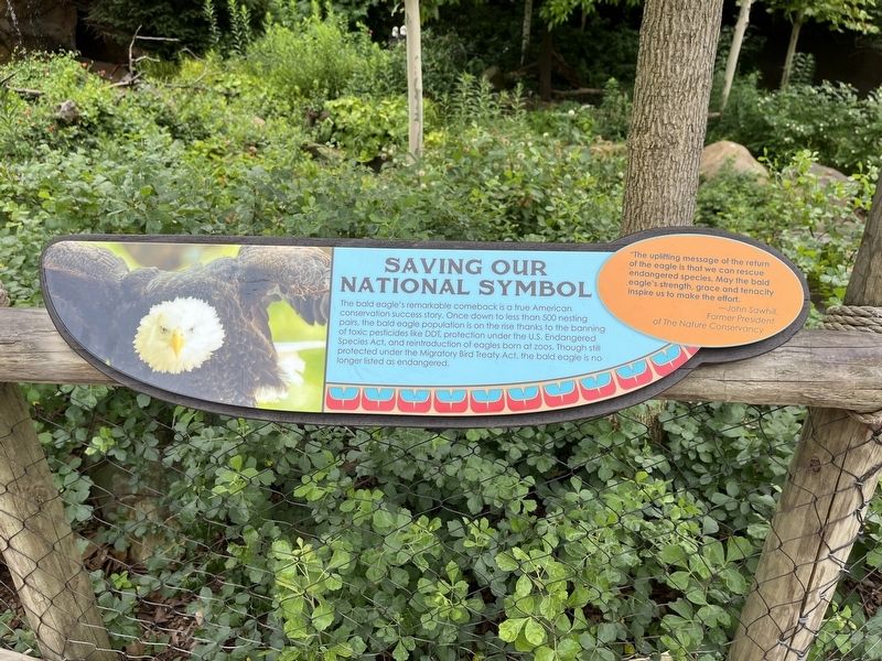 Saving Our National Symbol Marker. Click for full size. Saving Our National Symbol Marker image. Click for full size.