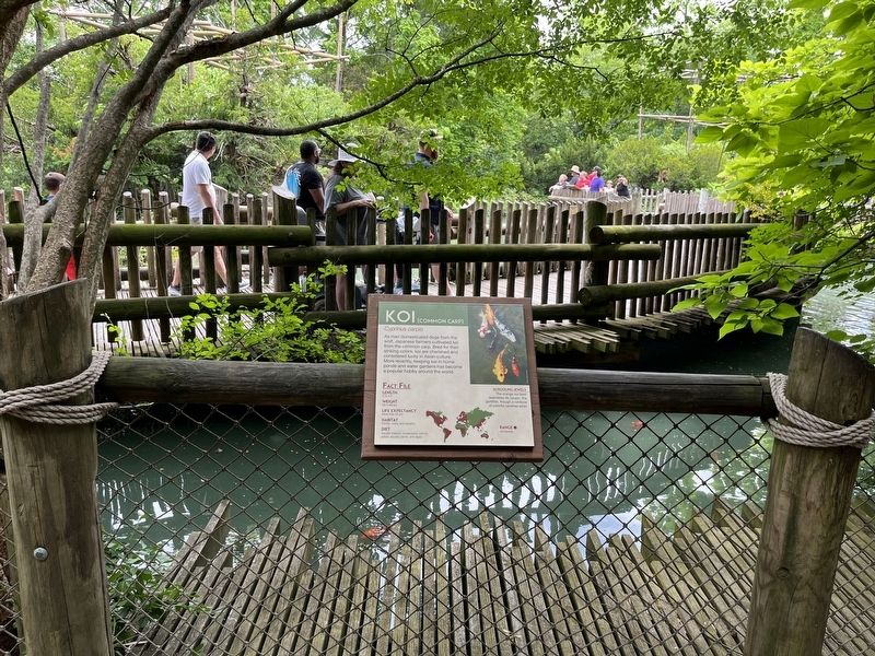 Koi Marker. Click for full size. Koi Marker image. Click for full size.