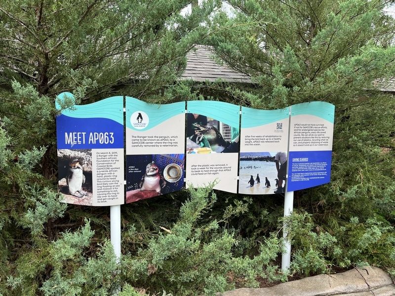 Meet AP063 Marker. Click for full size. Meet AP063 Marker image. Click for full size.