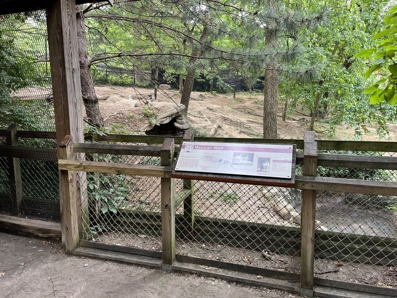 Mexican Wolf Marker. Click for full size. Mexican Wolf Marker image. Click for full size.