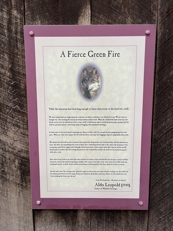 A Fierce Green Fire Marker. Click for full size. A Fierce Green Fire Marker image. Click for full size.