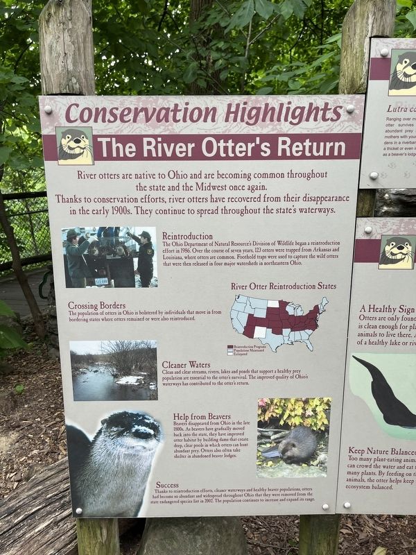 The River Otter's Return Marker. Click for full size. The River Otter's Return Marker image. Click for full size.