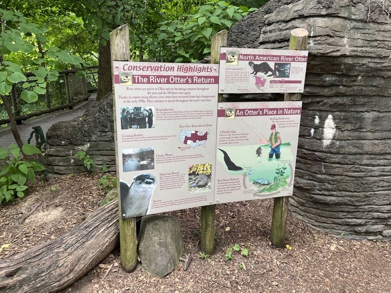 The River Otter's Return Marker. Click for full size. The River Otter's Return Marker image. Click for full size.