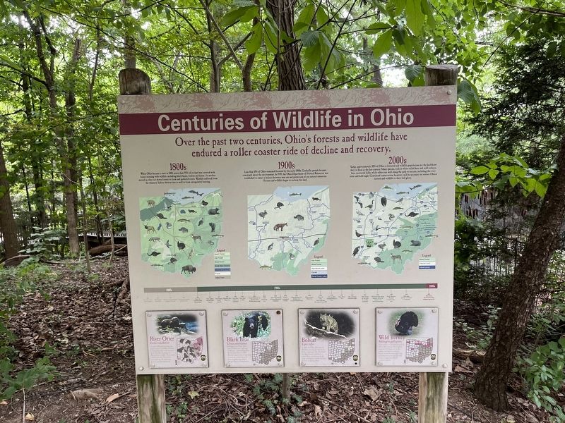 Centuries of Wildlife in Ohio Marker. Click for full size. Centuries of Wildlife in Ohio Marker image. Click for full size.
