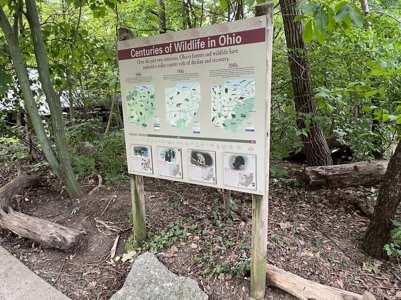Centuries of Wildlife in Ohio Marker. Click for full size. Centuries of Wildlife in Ohio Marker image. Click for full size.