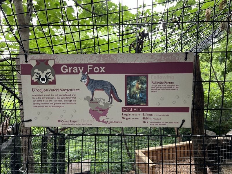 Gray Fox Marker. Click for full size. Gray Fox Marker image. Click for full size.