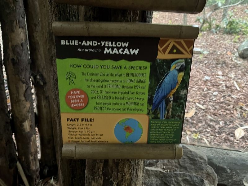 Blue-and-Yellow Macaw Marker. Click for full size. Blue-and-Yellow Macaw Marker image. Click for full size.