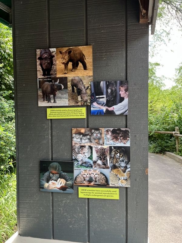 Saving Species Through Science Marker. Click for full size. Saving Species Through Science Marker image. Click for full size.
