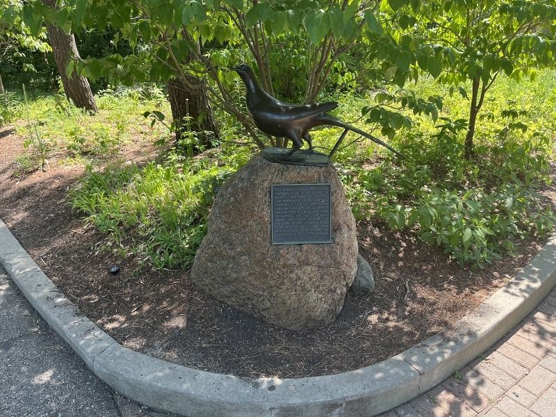 Passenger Pigeon and Carolina Paraquet Memorial. Click for full size. Passenger Pigeon and Carolina Paraquet Memorial image. Click for full size.