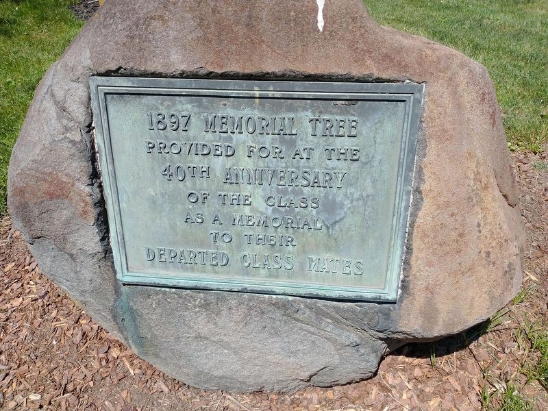 1897 Memorial Tree Marker image. Click for full size.