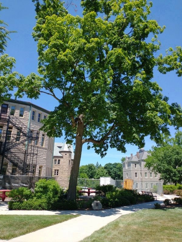 Cherry, Judge, Luckett Memorial image. Click for full size.