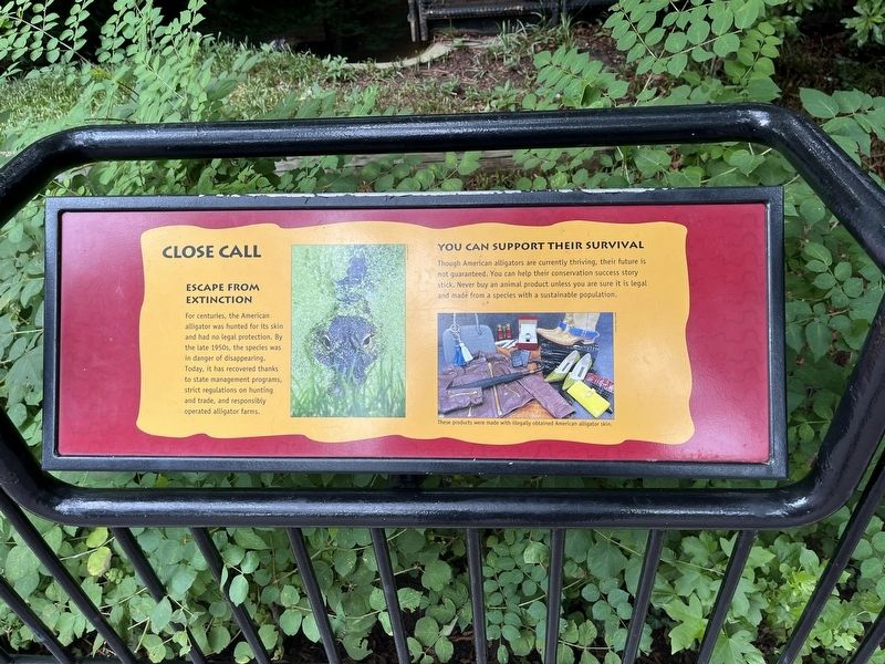 Close Call Marker image. Click for full size.