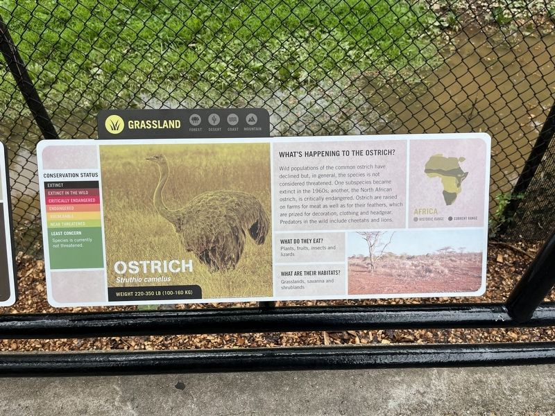 Ostrich Marker image. Click for full size.