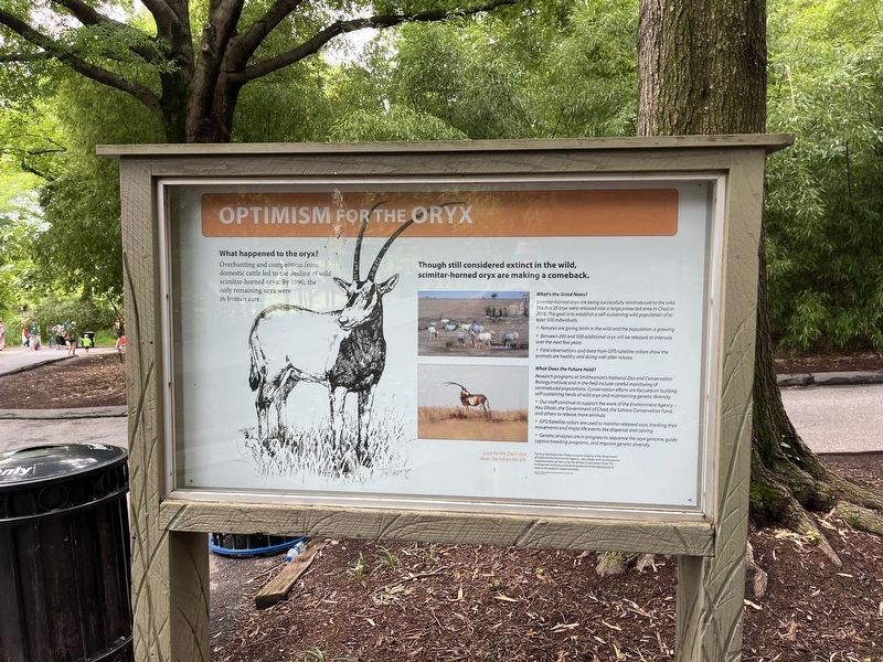Optimism for the Oryx Marker image. Click for full size.