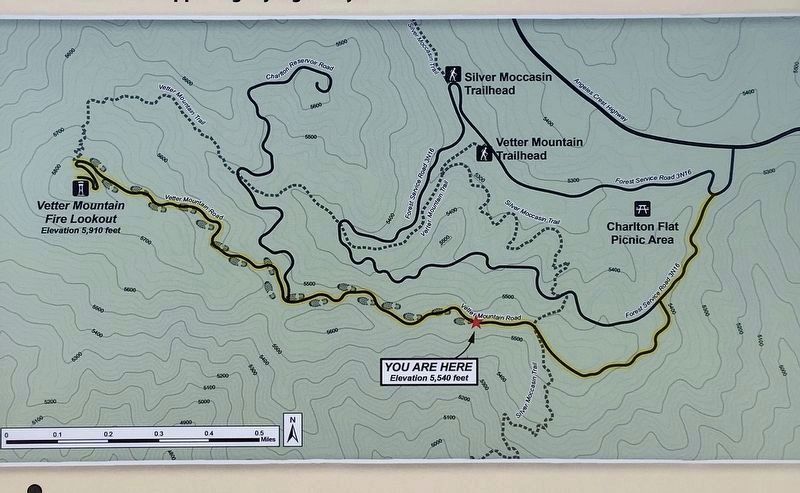 Road to Vetter Mountain detail image. Click for full size.
