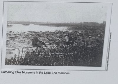 Monroe, Michigan: "Early years along the lake" Marker image. Click for full size.