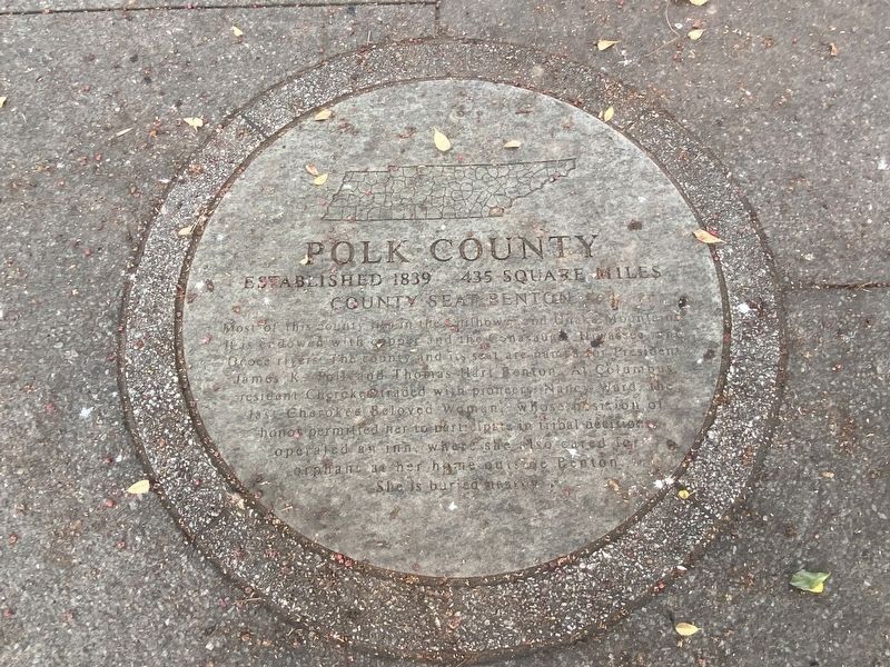 Polk County Marker image. Click for full size.