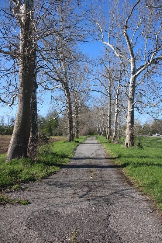 Sycamore Row Marker image. Click for full size.