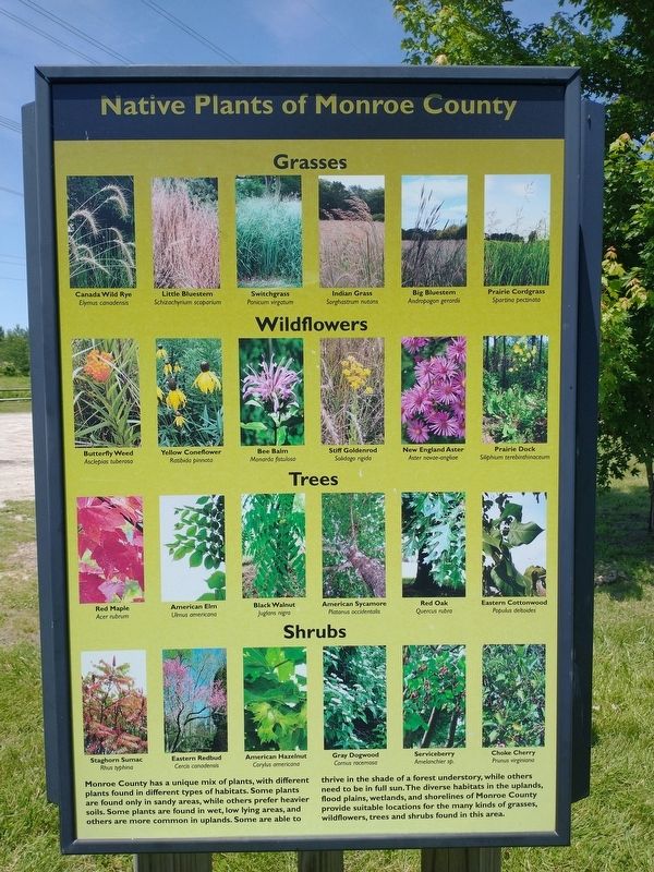 The River Raisin Marker. Click for full size. The River Raisin Marker image. Click for full size.