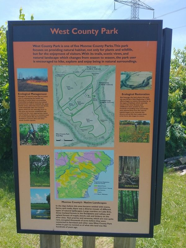 West County Park Marker image. Click for full size.