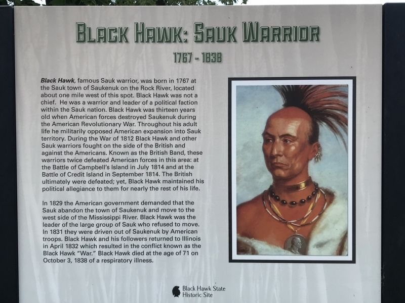 Black Hawk: Saux Warrior Marker image. Click for full size.