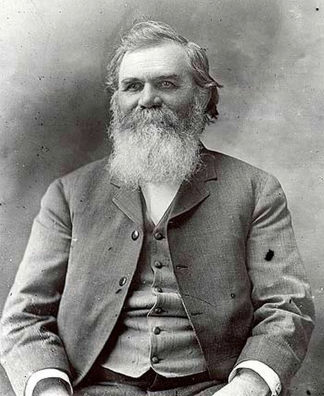 Daniel David Palmer (1845-1913) image. Click for full size.