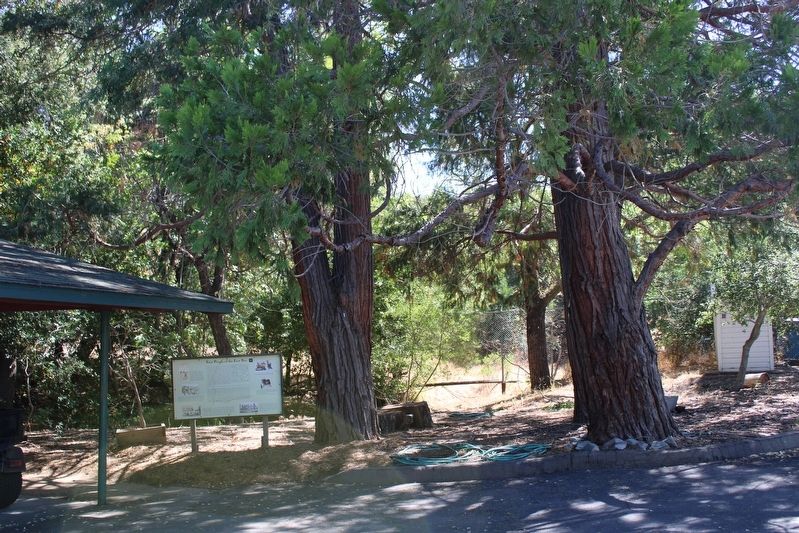 First People of the East Bay Marker image. Click for full size.