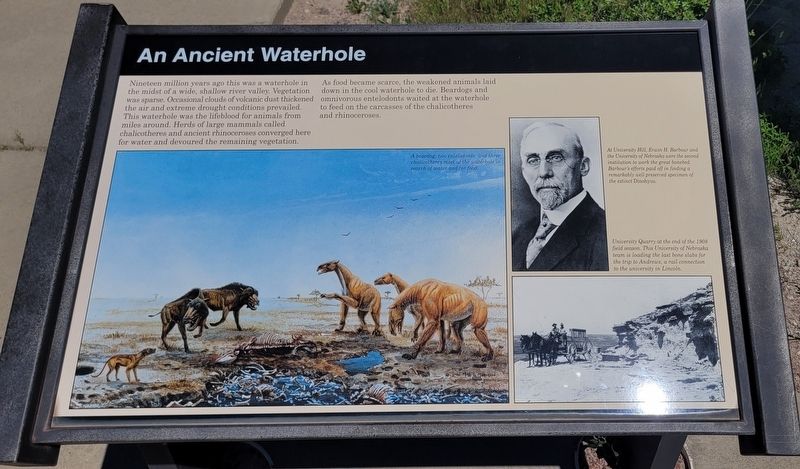 An Ancient Waterhole Marker image. Click for full size.