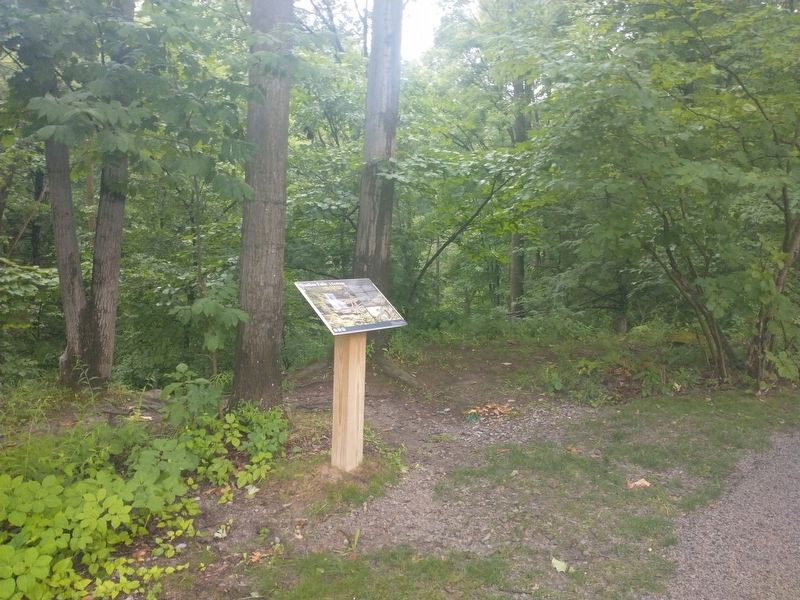 Quaker Falls - Ecology Marker. Click for full size. Quaker Falls - Ecology Marker image. Click for full size.