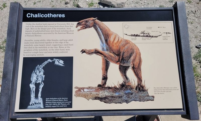 Chalicotheres Marker image. Click for full size.