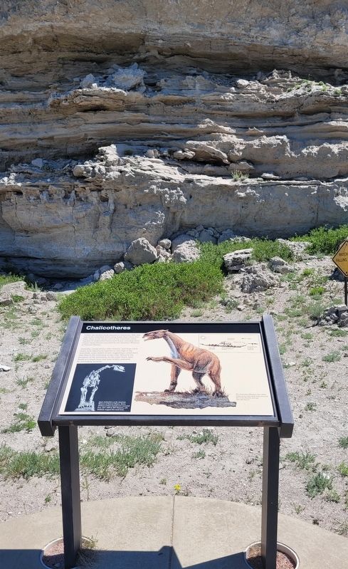 The Chalicotheres Marker at Carnegie Hill image. Click for full size.