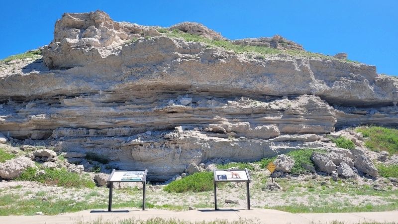 The Chalicotheres Marker is the marker on the right image. Click for full size.