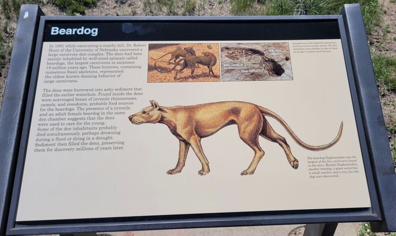 Beardog Marker. Click for full size. Beardog Marker image. Click for full size.