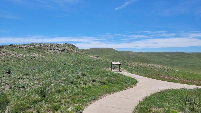 The view of the Beardog Marker from the pathway. Click for full size. The view of the Beardog Marker from the pathway image. Click for full size.