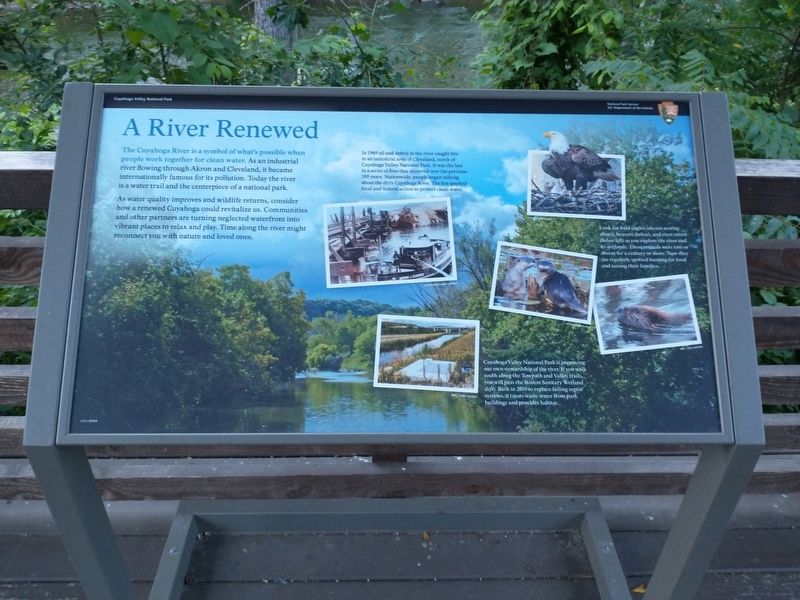 A River Renewed Marker image. Click for full size.