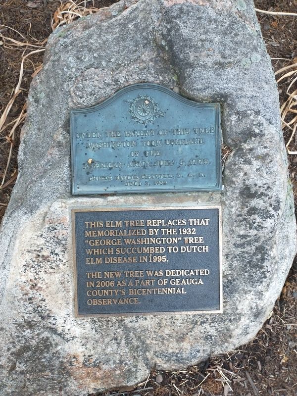 George Washington Tree Marker image. Click for full size.