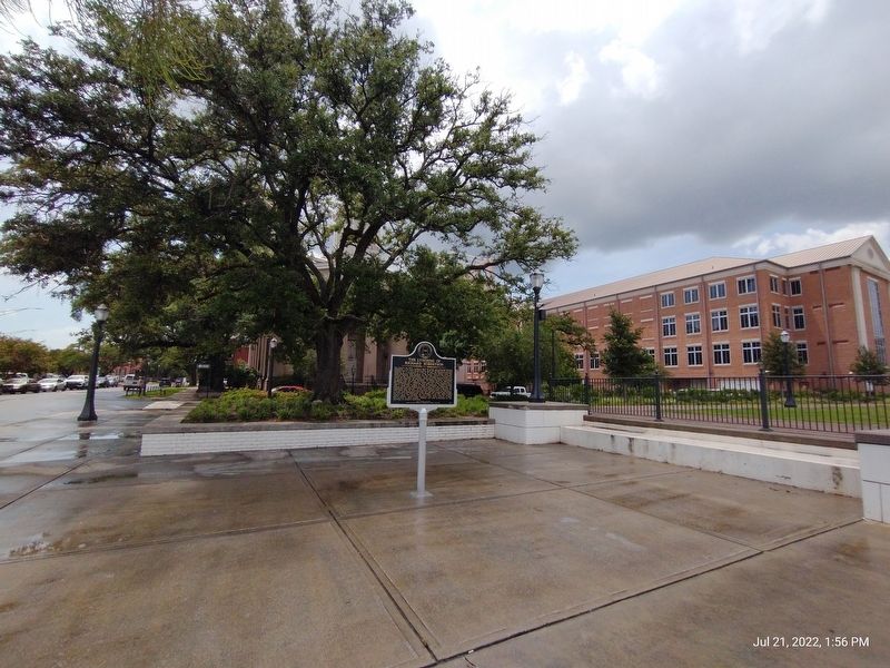 Side 2 with Government Plaza and cathedral in background. image. Click for full size.