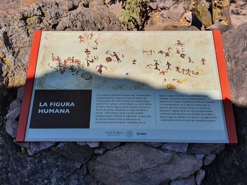 The human figure Marker. Click for full size. The human figure Marker image. Click for full size.