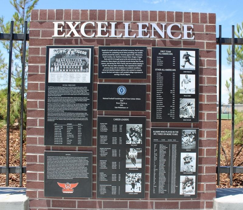 Excellence Marker image. Click for full size.
