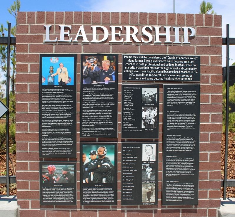 Leadership Marker image. Click for full size.