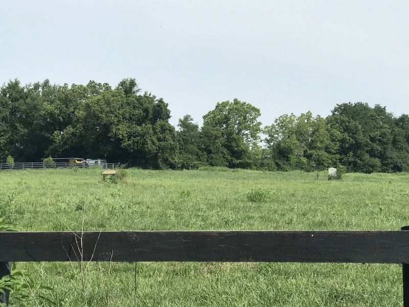 Uncovering Our Pioneer Past Marker. Click for full size. Uncovering Our Pioneer Past Marker image. Click for full size.