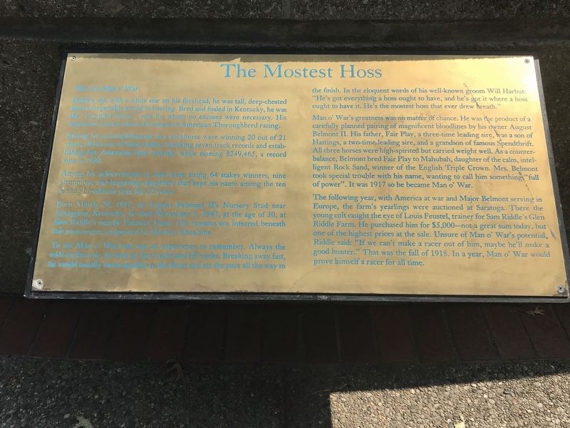 The Mostest Hoss Marker. Click for full size. The Mostest Hoss Marker image. Click for full size.