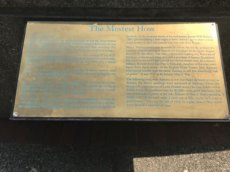 The Mostest Hoss Marker image. Click for full size.